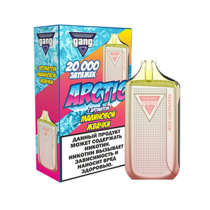 Электронная сигарета Gang Arctic Малиновая Жвачка 20000 затяжек