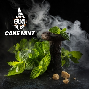 Табак Burn Black Cane Mint (Тростниковая мята) 200 г