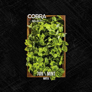 Табак Cobra SELECT Мята (Mint) 40 г