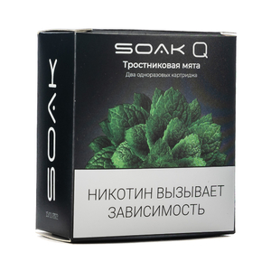 Упаковка картриджей Soak Q Тростниковая мята 4,8 мл 2% (В упаковке 2 шт)